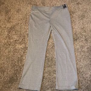 NWT NY&CO pull on pant xxl tall.